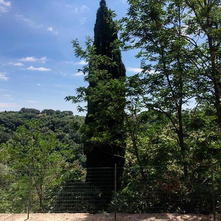 La Casa All'Oliveto Pitigliano Kültér fotó