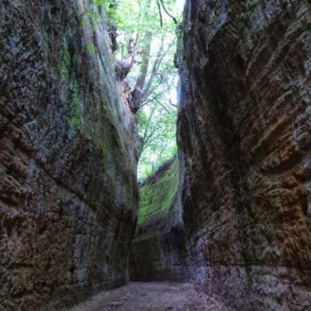 La Casa All'Oliveto Pitigliano Kültér fotó