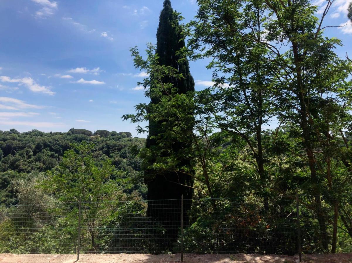 La Casa All'Oliveto Pitigliano Kültér fotó